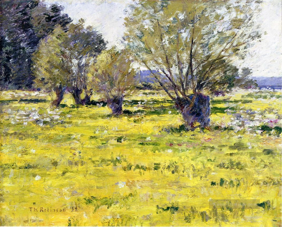 Weiden und Wildblumen impressionistische Landschaft Theodore Robinson Ölgemälde
